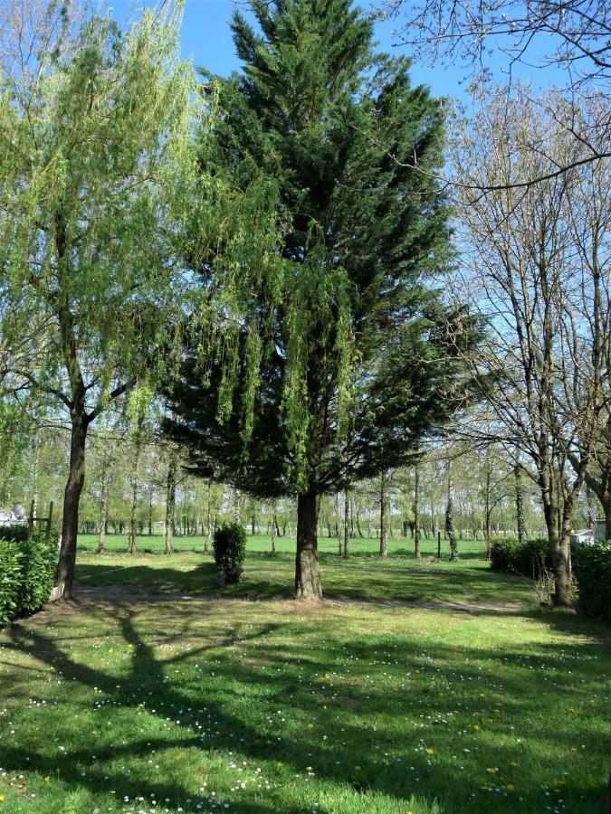 L'Oasis Des Dombes Otel Ambérieux-en-Dombes Dış mekan fotoğraf