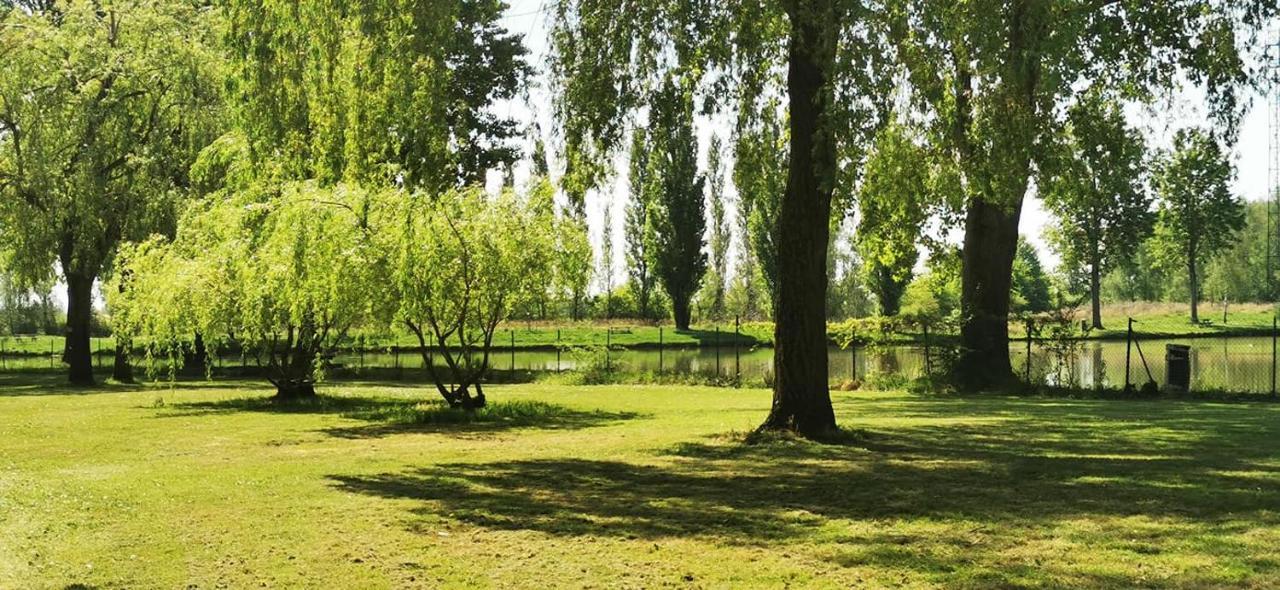 L'Oasis Des Dombes Otel Ambérieux-en-Dombes Dış mekan fotoğraf